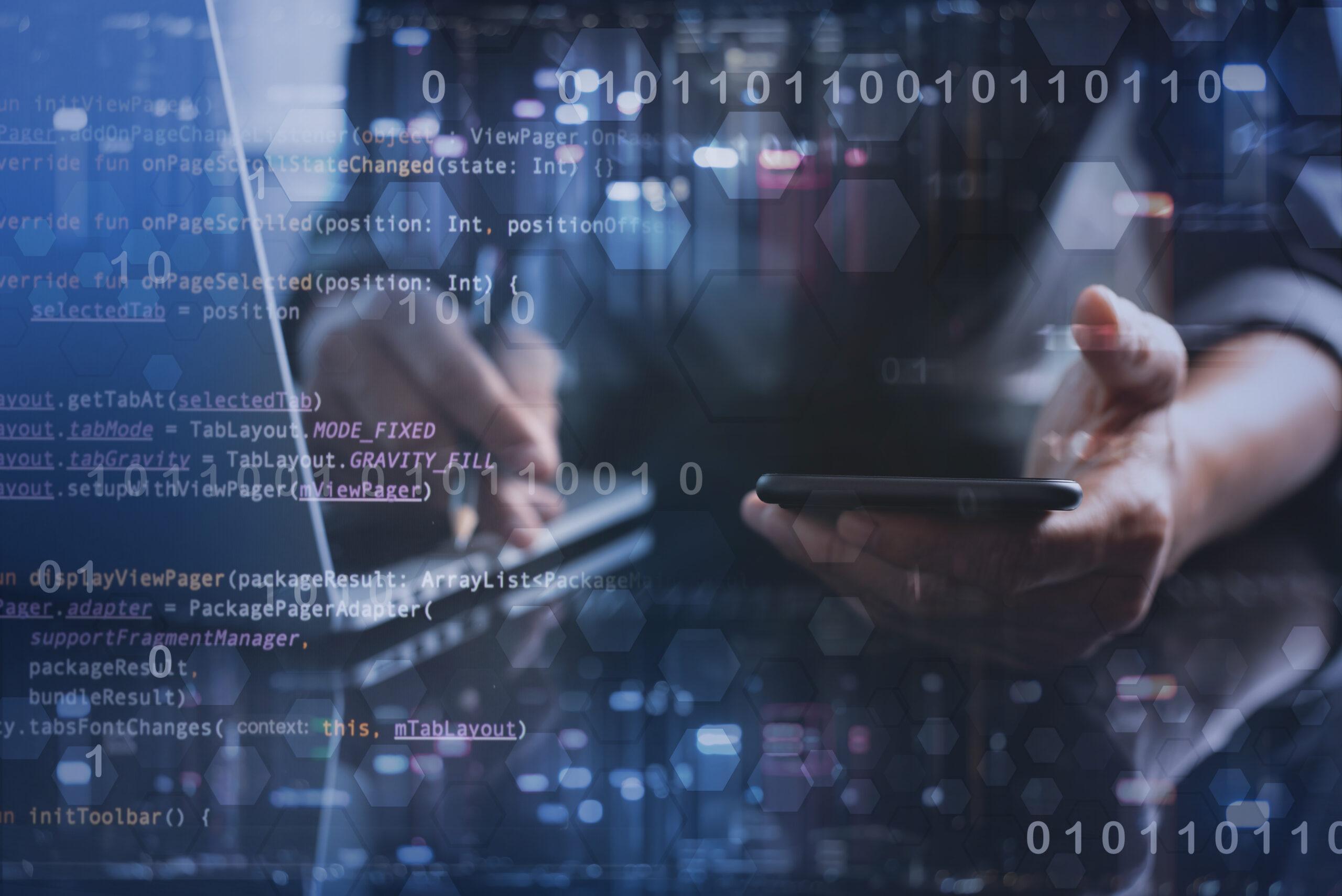 Software code testing interface
